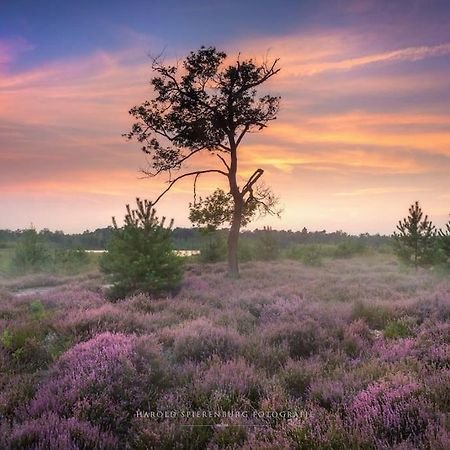 Natuurhuisje Oisterwijk Villa Dış mekan fotoğraf