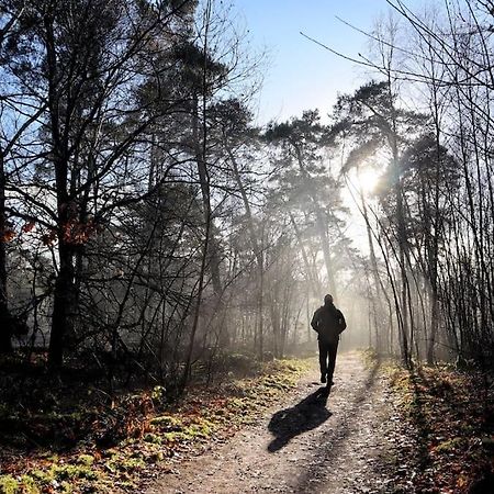 Natuurhuisje Oisterwijk Villa Dış mekan fotoğraf