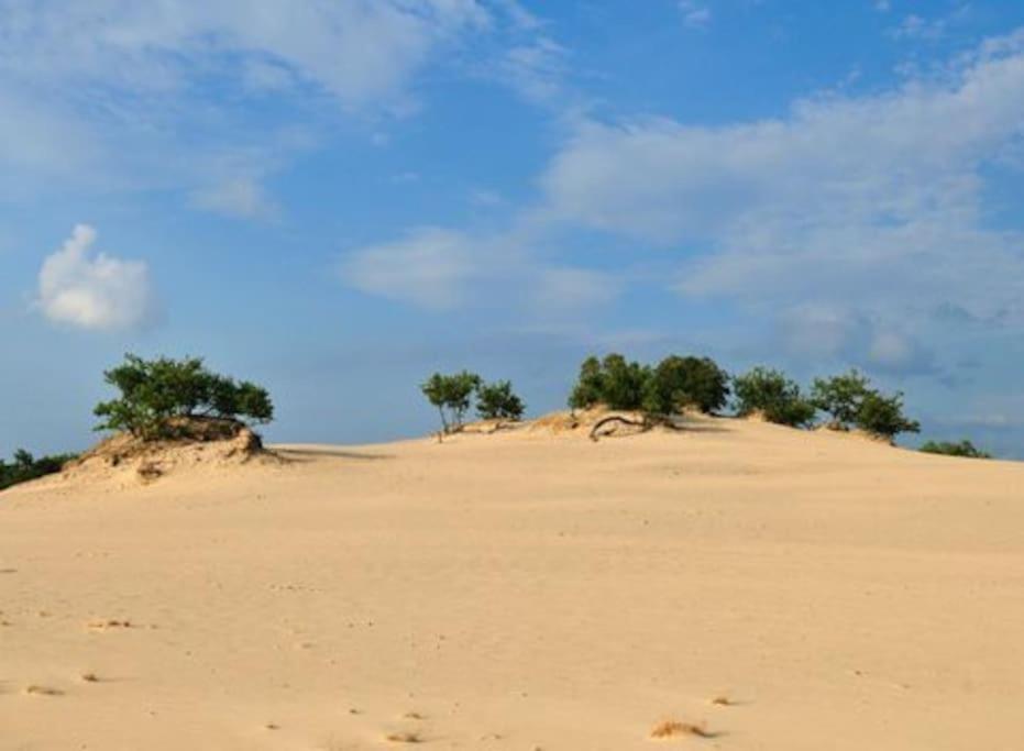 Natuurhuisje Oisterwijk Villa Dış mekan fotoğraf