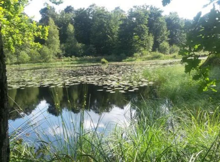 Natuurhuisje Oisterwijk Villa Dış mekan fotoğraf