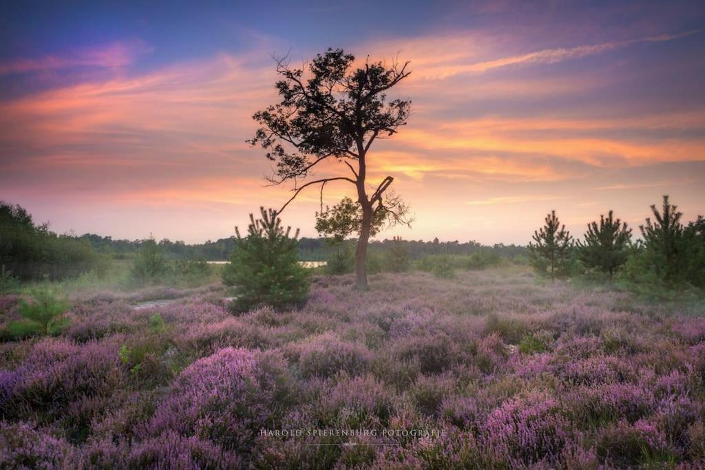 Natuurhuisje Oisterwijk Villa Dış mekan fotoğraf