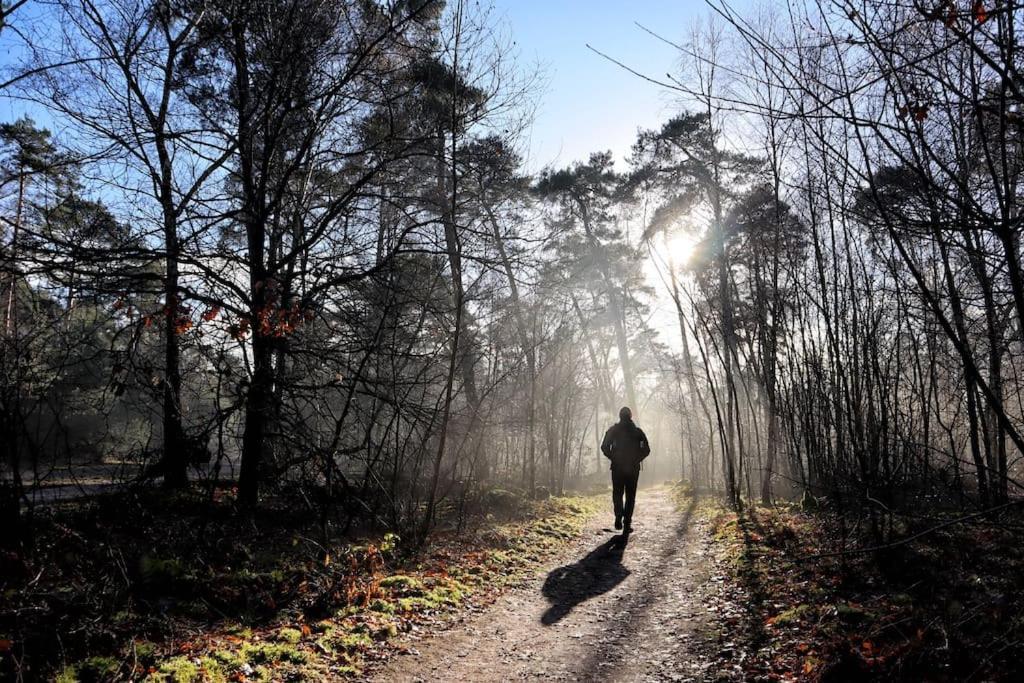 Natuurhuisje Oisterwijk Villa Dış mekan fotoğraf