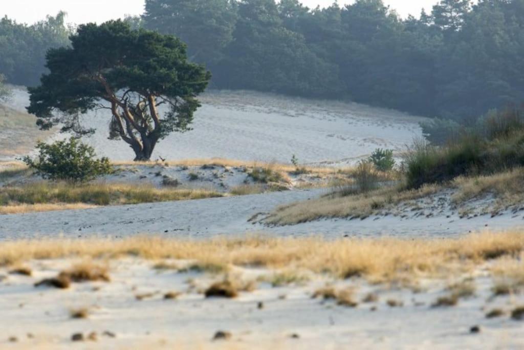 Natuurhuisje Oisterwijk Villa Dış mekan fotoğraf