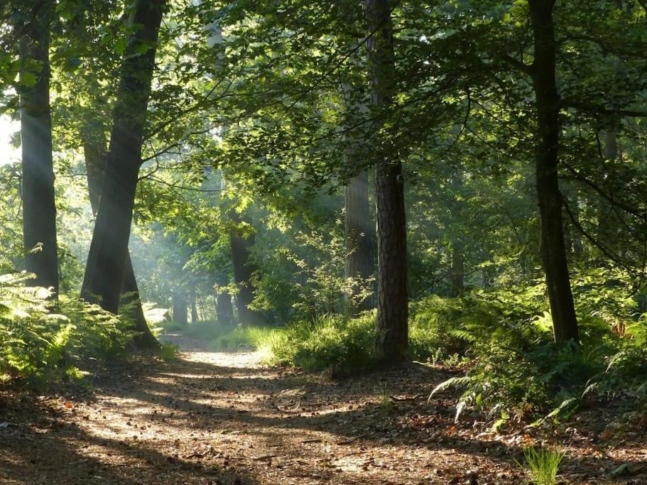 Natuurhuisje Oisterwijk Villa Dış mekan fotoğraf