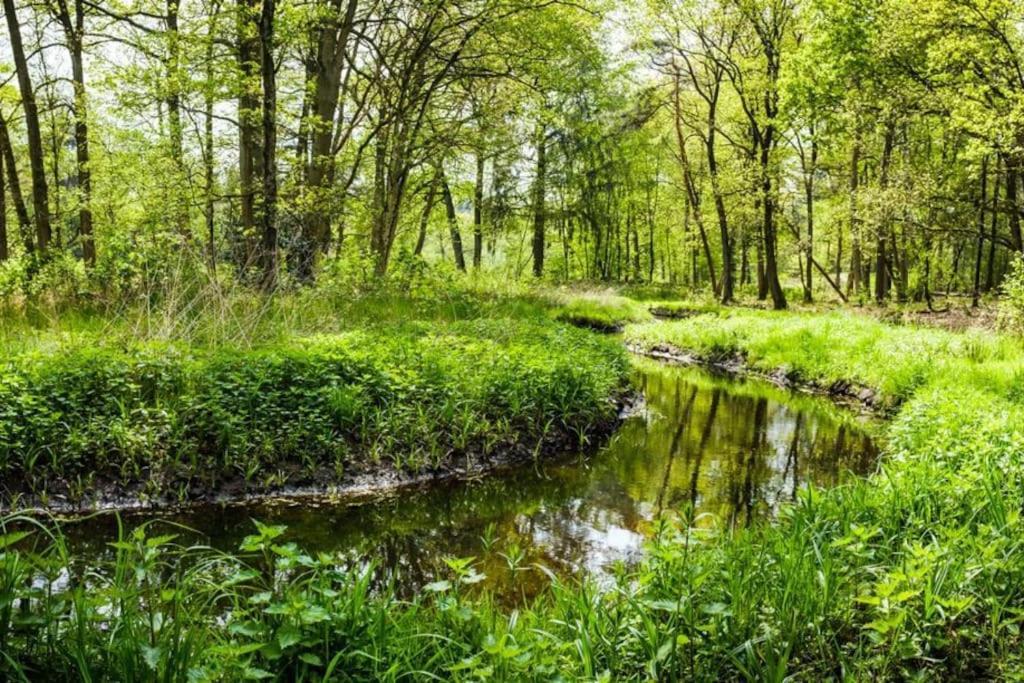 Natuurhuisje Oisterwijk Villa Dış mekan fotoğraf