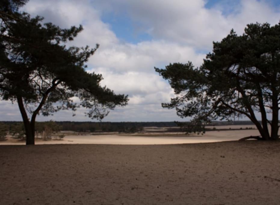 Natuurhuisje Oisterwijk Villa Dış mekan fotoğraf