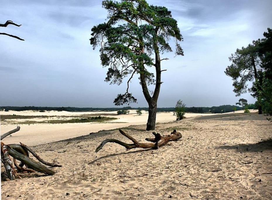 Natuurhuisje Oisterwijk Villa Dış mekan fotoğraf